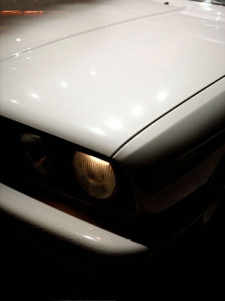 Heiligabend war er Schneeweiß!