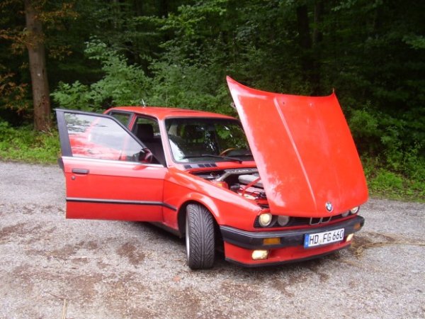 tgg8izmd2j41k0vihavjrtd71pn