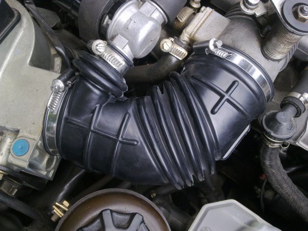 Ansauggummibalg erneuert