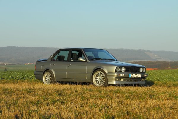 Lachsilber auf der Wiese