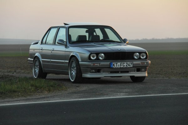 Lachsilber Abenddämmerung 2