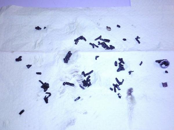 18.02.2010 Fundstücke in der Ölpumpe (Sieb)