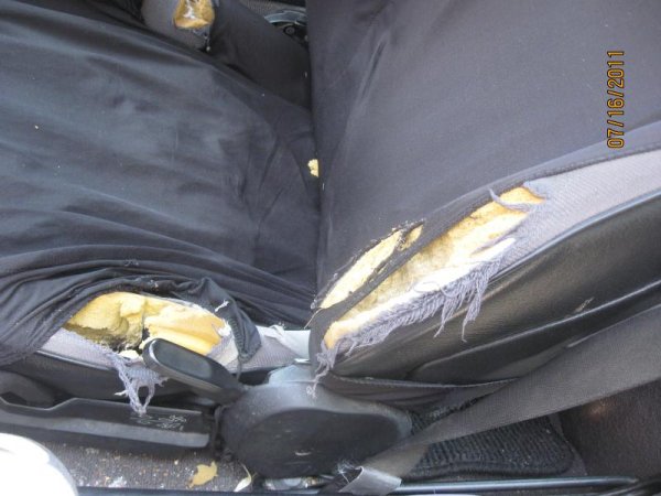 leider is der sitz fertig ! aber sowas von