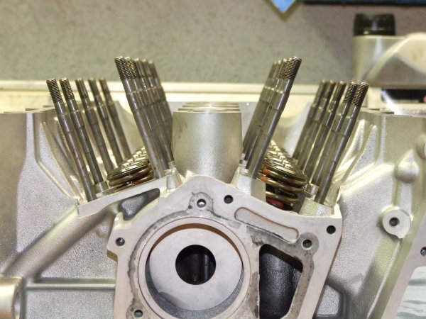 Da stehen sie Spalier