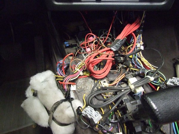 KNUT in meinem Auto!