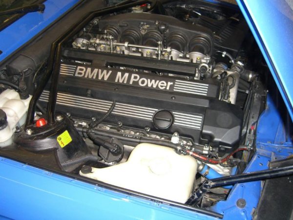 Das Herz des Biest`s