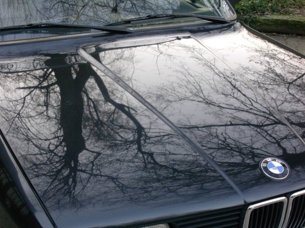 sehr coole perspektive