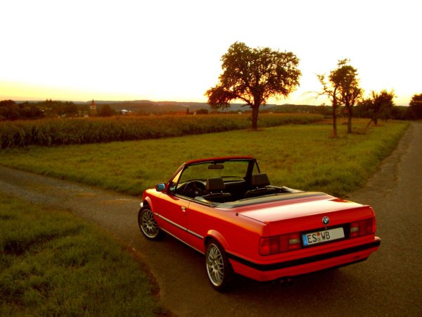 Abend-Brilliant-Rot (neu)