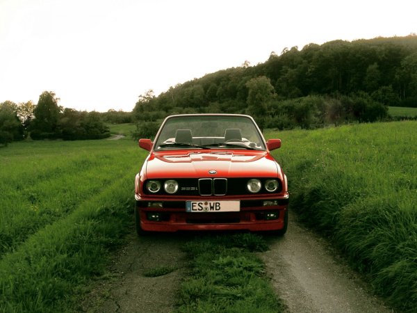 Brutal Frontal (neu)