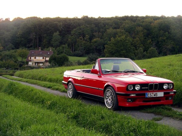 Glanzrot auf Grasgruen (neu)