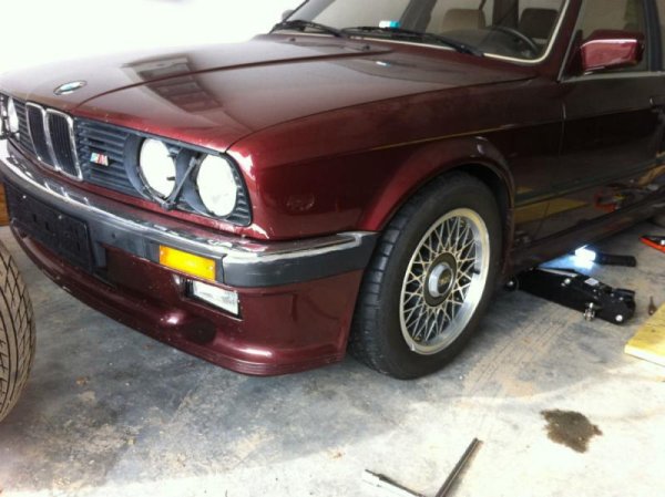 BBS junior 6