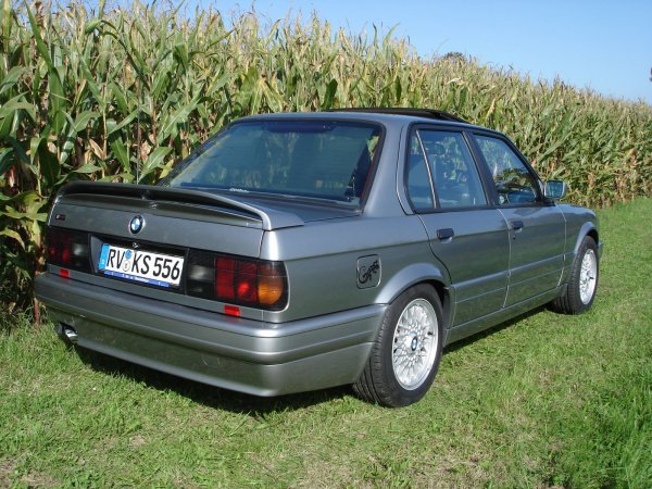 325i M-Tech II lachssilbermetallic