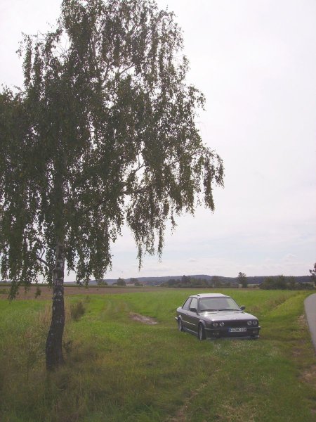 Frontansicht neben Baum