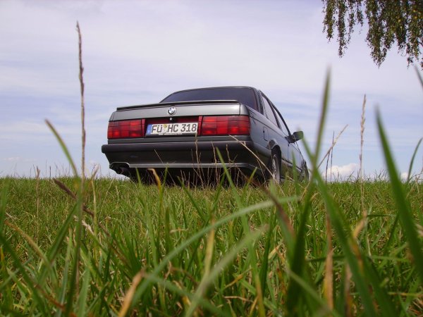 Heck aus der Froschperspektive