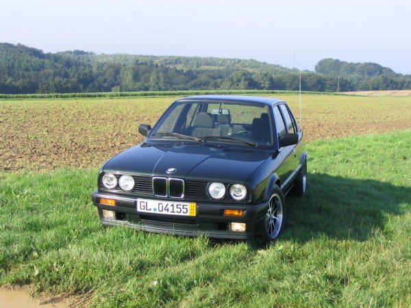 02tii'sLangschläfer-01