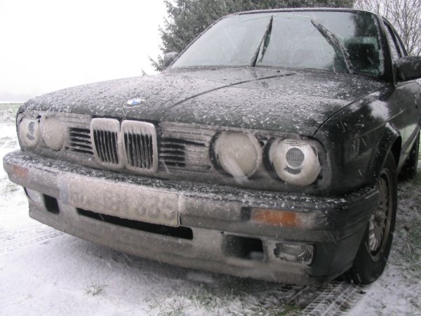 02tii'sLangschläfer-04