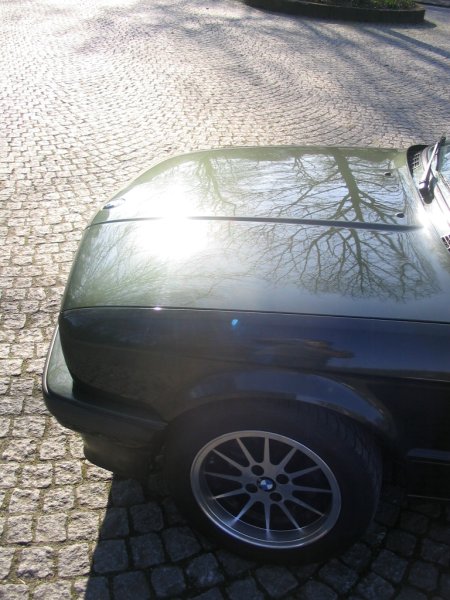 02tii'sLangschläfer-05