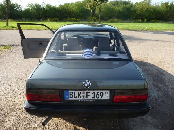 mal von Hinten,mit dem Klorollenhütchen