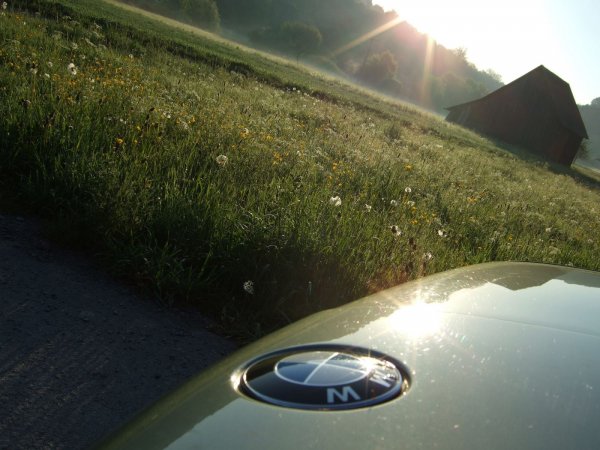 BMW-Zeichen in der Sonne