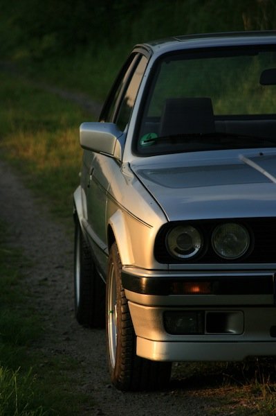 Bei den schwarzen Punkten handelt es sich nur um harmlose Fliegen ;-)