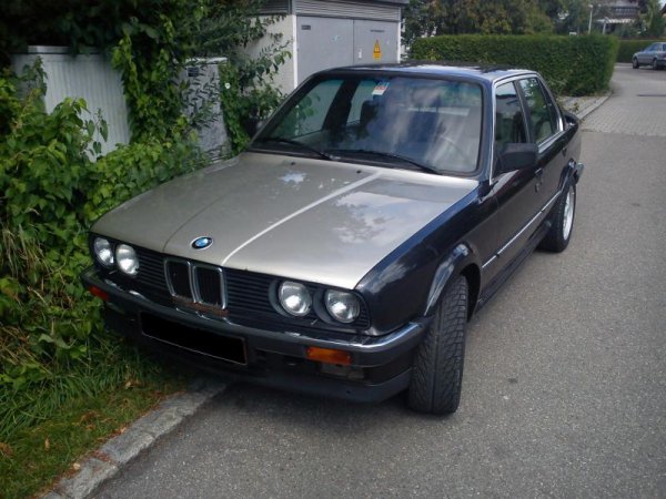 frisch geputzt und poliert - noch mit alter Motorhaube