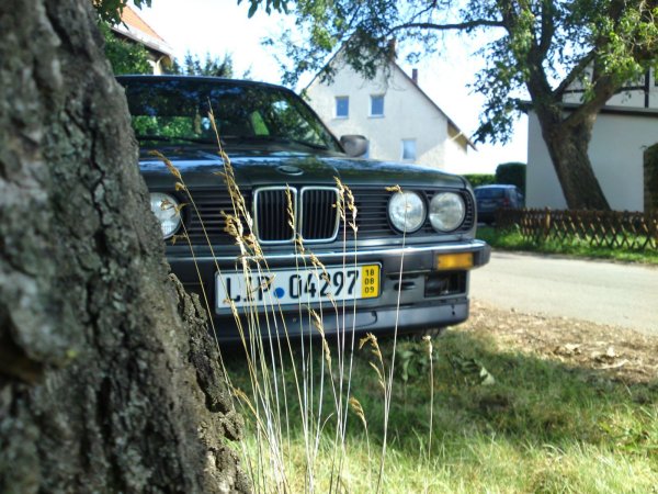 Eta in der schönen Natur