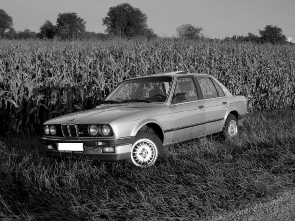 Mein E30 (2)