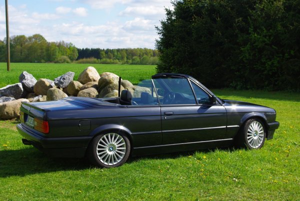 Ein Tag im Grünen 2