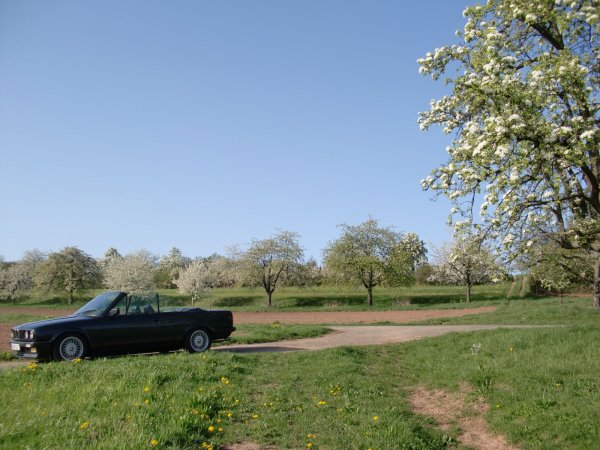 Sommer,Sonne,Sonnenschein...