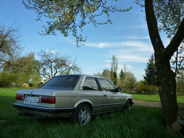 Mein treuer langjähriger Begleiter  318i M10