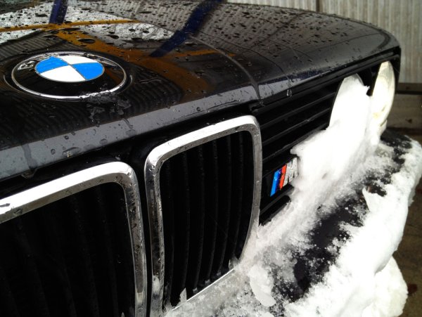 Tapfer durch den Winter