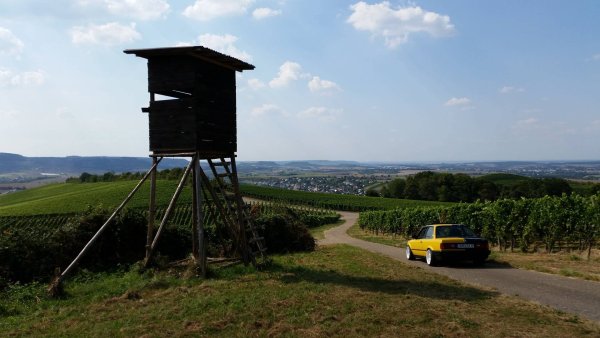 14550795 1159961467412519 684357138 O