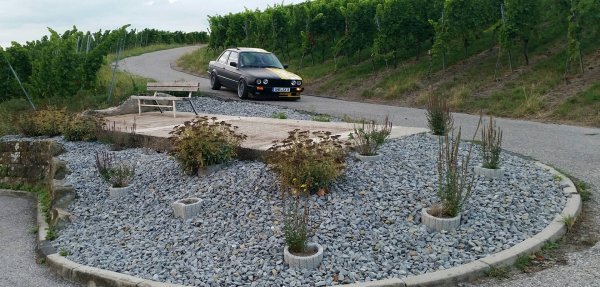 14456815 1159961054079227 826380925 O