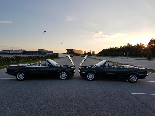 Malachitgrüne Zwillinge 1