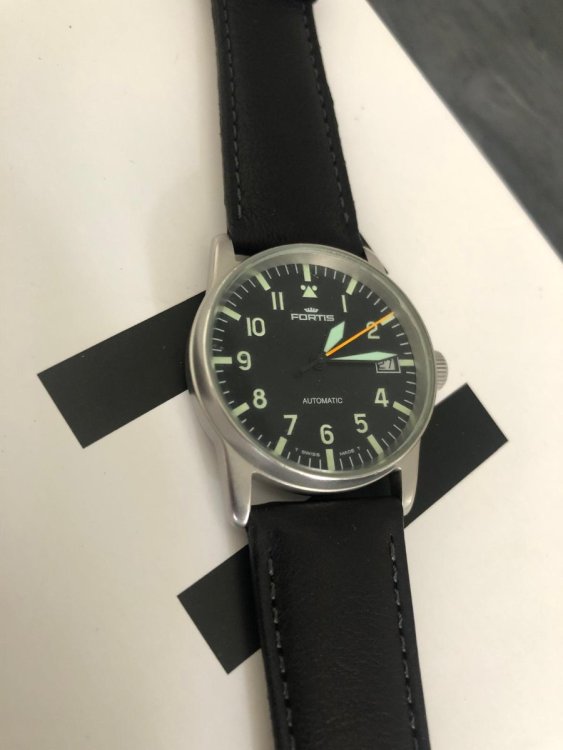 Fortis_Flieger.jpg