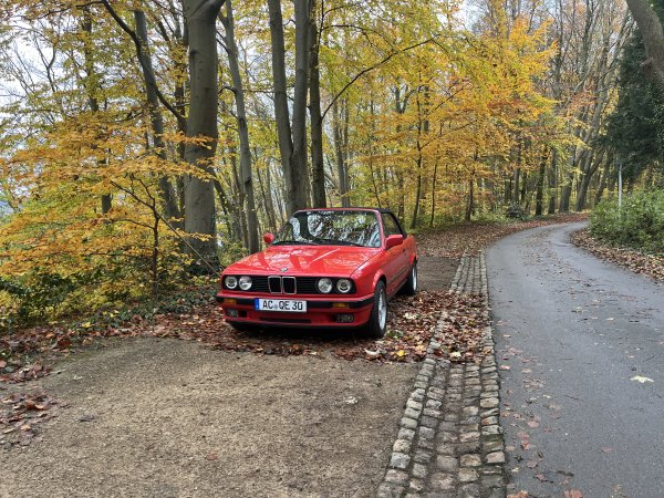 E30 im Herbst.JPG