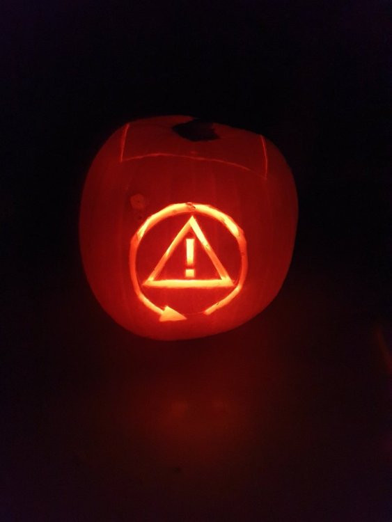 20241025_235524.jpg