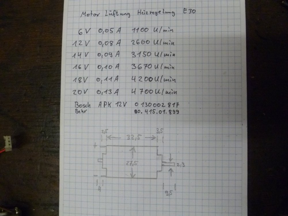 P1020002.JPG