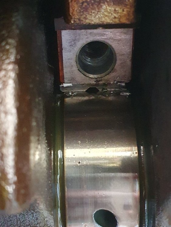 20250812_161018.jpg
