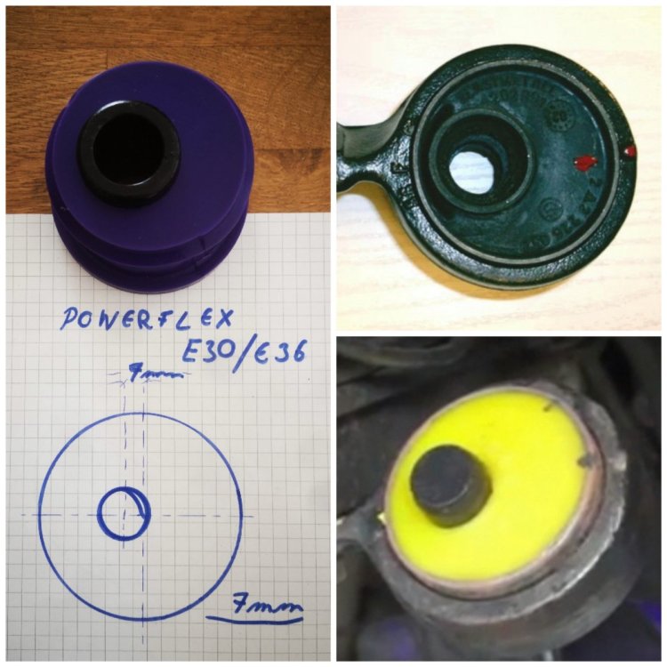 Collage_20250803_164125.jpg