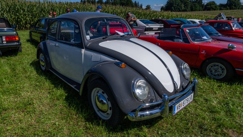 DSCF7985.jpg