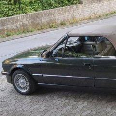 Stang_197