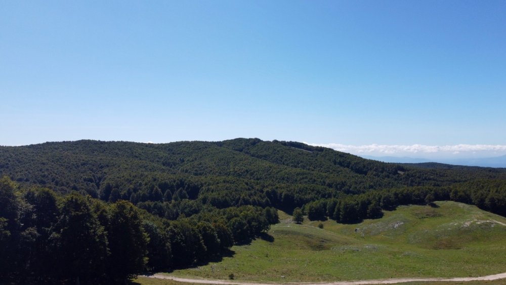 DJI_0869.jpeg