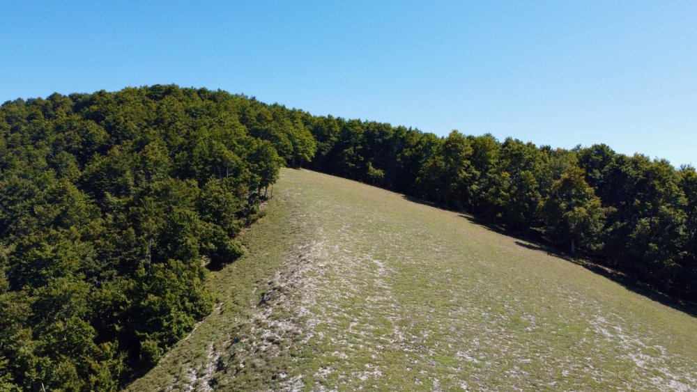 DJI_0871.jpeg