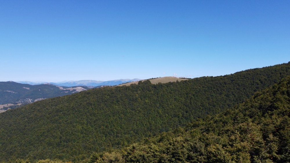 DJI_0873.jpeg