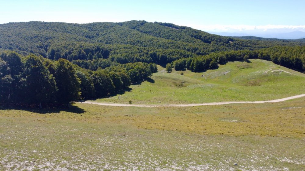 DJI_0879.jpeg