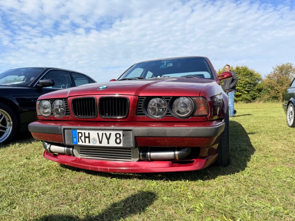 IMG_1225.jpeg