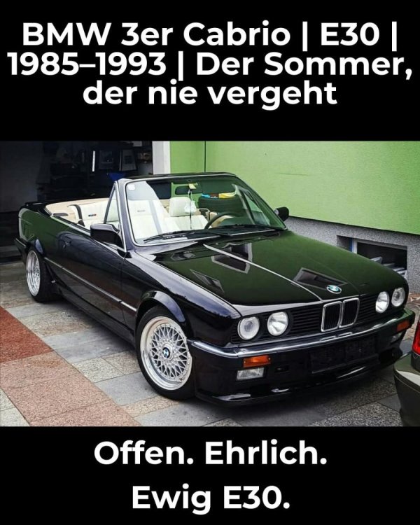 der Sommertraum.jpg