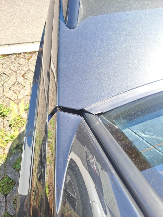 WhatsApp Image 2025-11-03 at 19.40.00 (1).jpeg