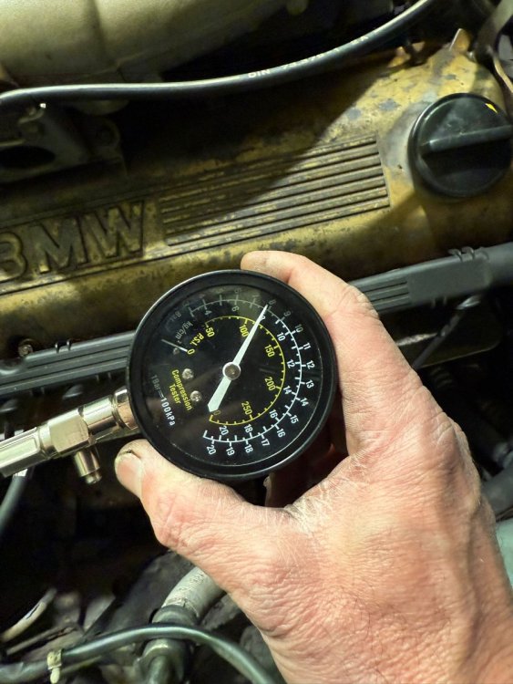 WhatsApp Image 2025-12-15 at 08.31.57 (1).jpeg